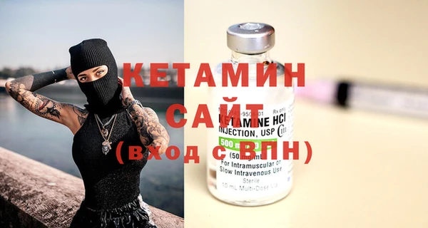 шишки Арсеньев