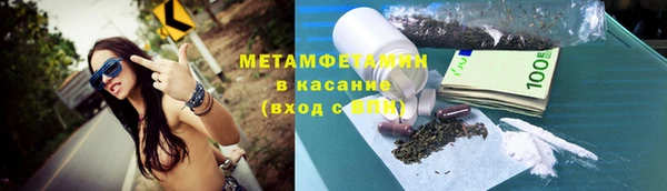 шишки Арсеньев