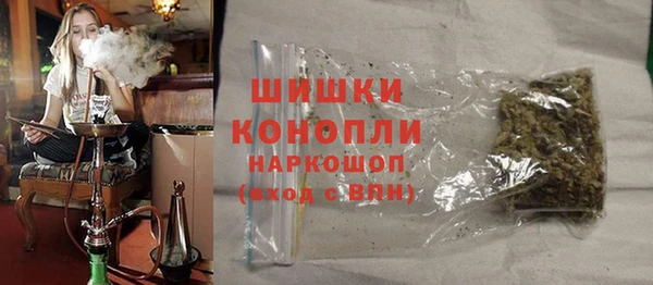шишки Арсеньев