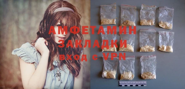 шишки Арсеньев