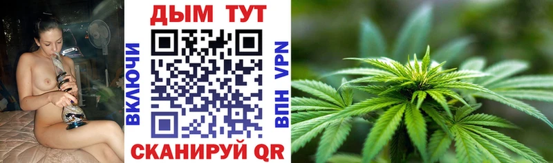 Бошки марихуана план Кондрово